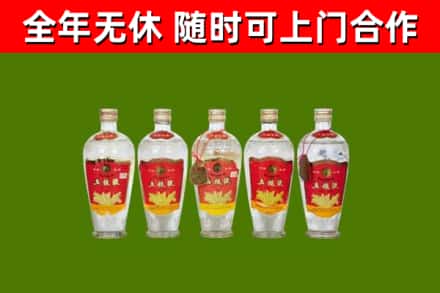 永嘉烟酒回收公斤五粮液.jpg