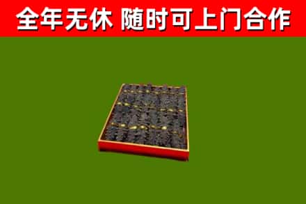永嘉回收海参